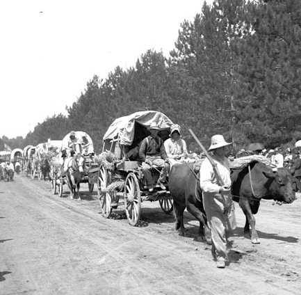 immigration-reform-wagon-train