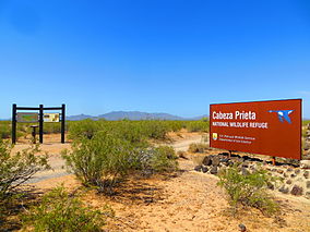 Cabeza- Prieta- National- Wildlife-Refuge